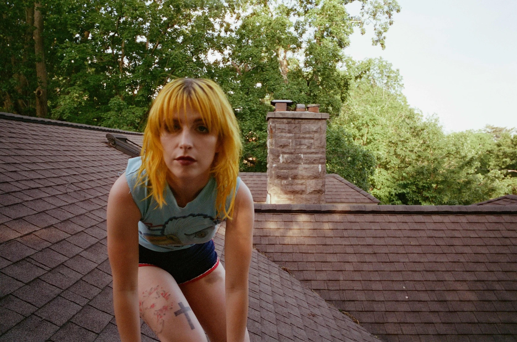 Hayley Williams Mendobrak Batasan Lewat Album Baru