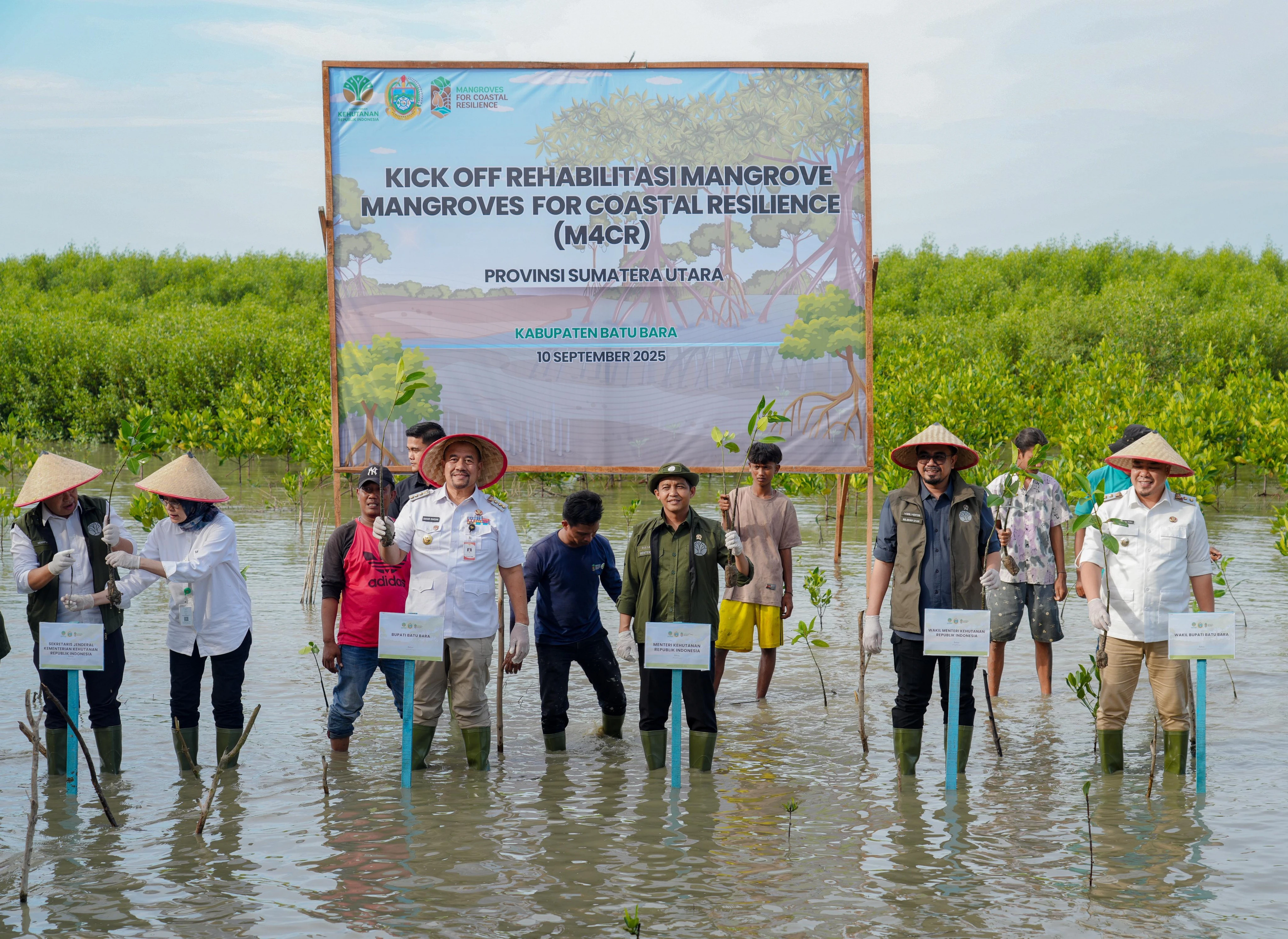 Menhut Ungkap Target Penanaman Mangrove pada 2025, Sebegini Luasnya