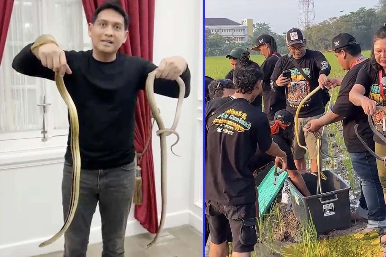 3 Berita Artis Terheboh: Lucky Hakim Lepas Ribuan Ular, Ridwan Kamil Akan Ikuti Proses Hukum