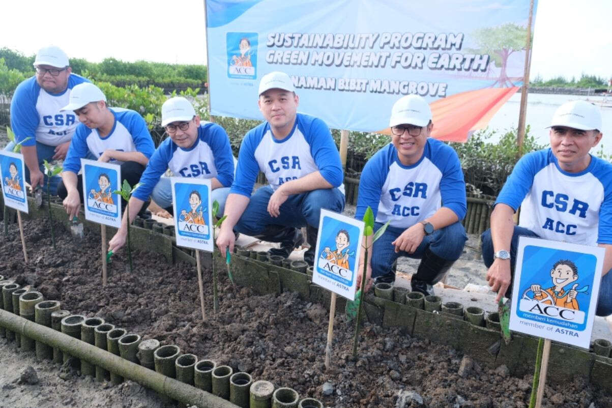 ACC Tanam Seribu Bibit Mangrove di Denpasar