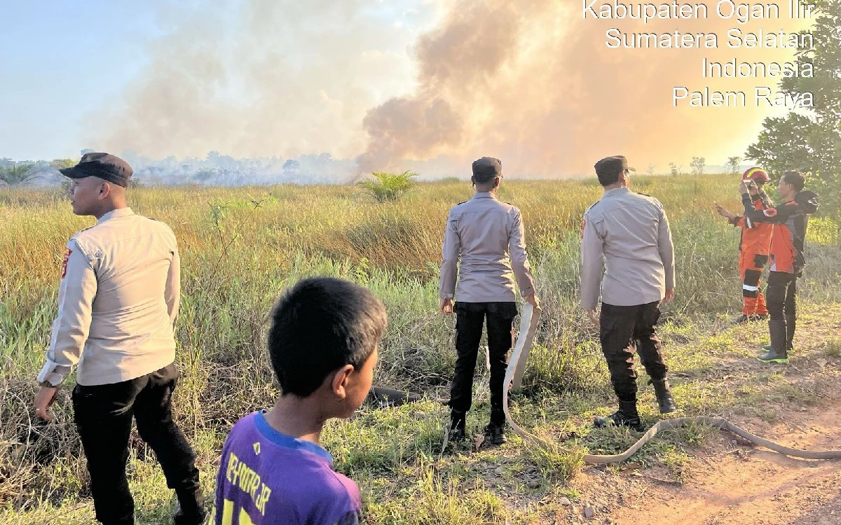 2 Hektare Lahan Gambut di Palem Raya Ogan Ilir Terbakar, Tim Gabungan Terjun Lakukan Pemadaman