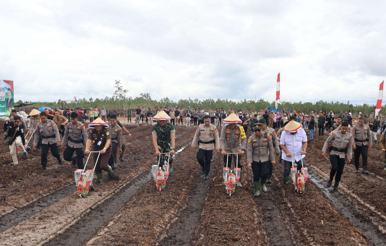 Polda Kalteng Tanam Jagung di Lahan 1.200 Hektare Untuk Dukung Asta Cita