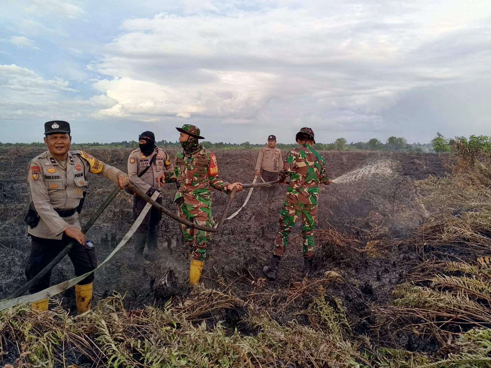 Polres Rohil Tangkap Dalang Karhutla di Kubu Banussalam, 10 Hektare Lahan Hangus