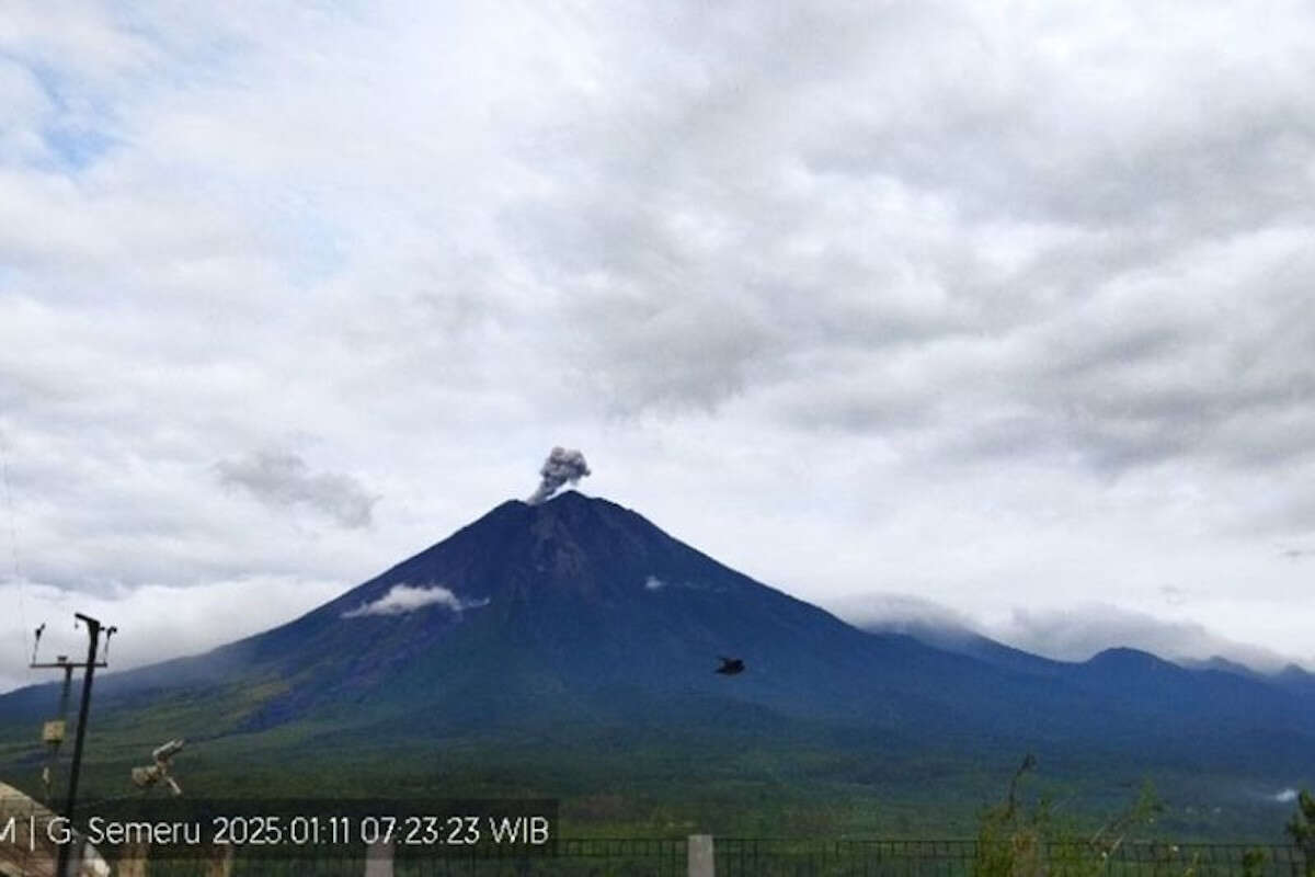 Gunung Semeru Erupsi Lagi Sabtu Pagi, Tinggi Kolom Letusan 600 Meter di Atas Puncak