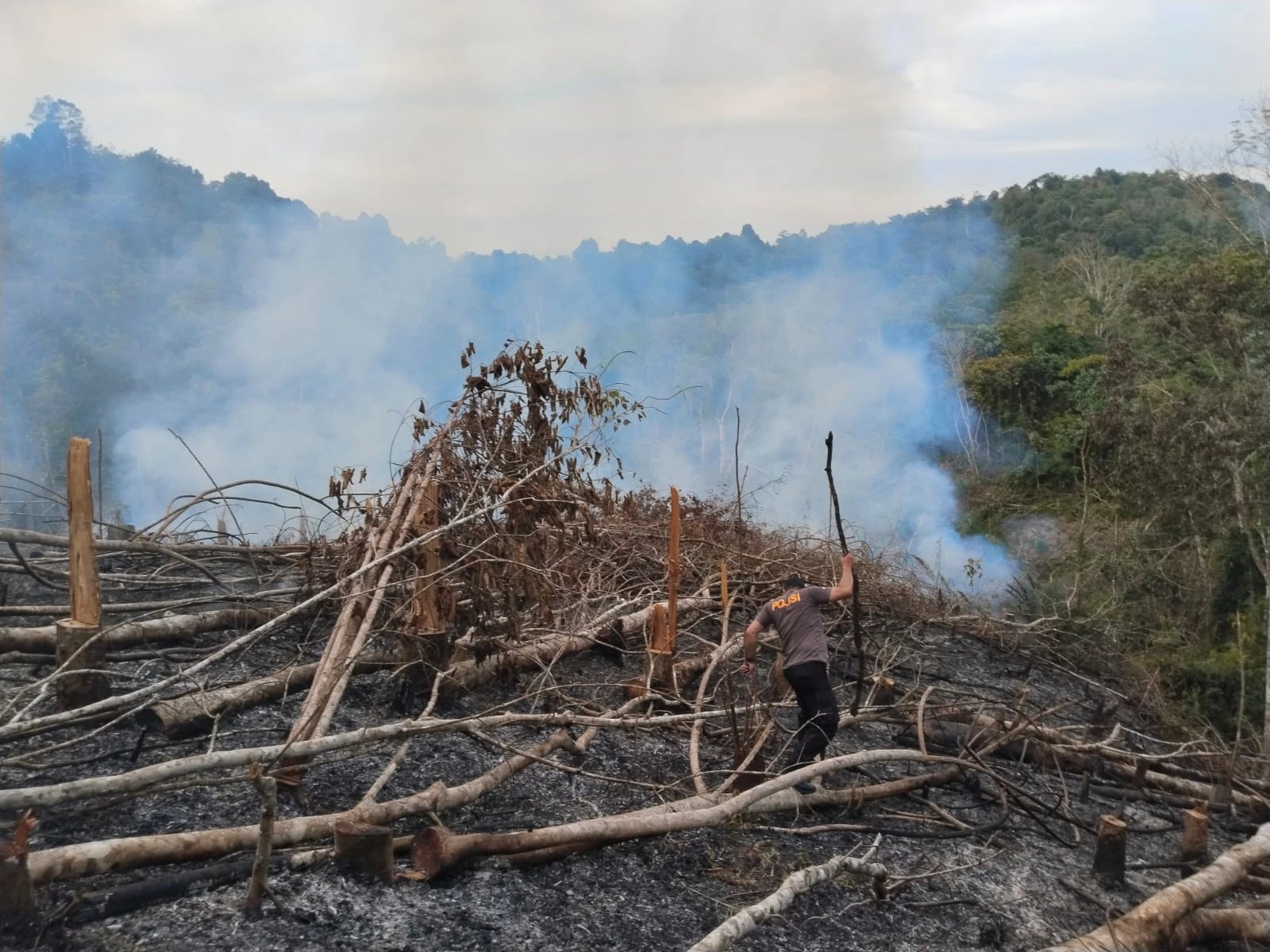 Bakar Lahan di Kawasan Hutan Lindung Kuansing, 3 Pelaku Ditangkap Polisi
