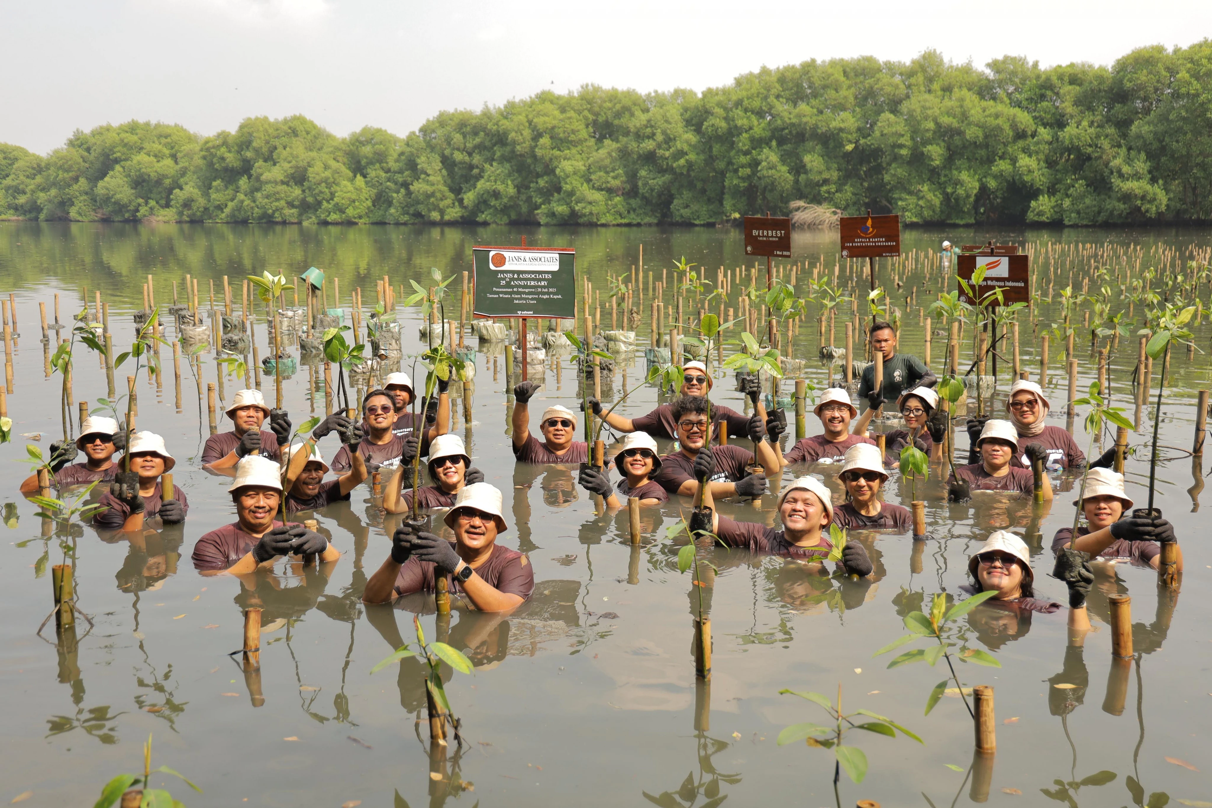 Merayakan Ultah ke-25, Janis & Associates Gelar Aksi Penanaman Mangrove di Jakarta Utara