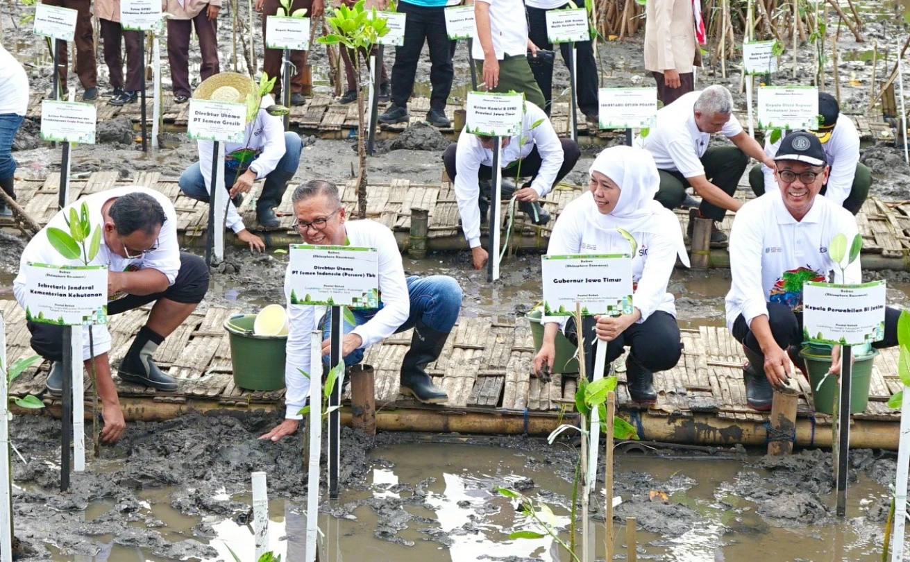 SIG Tanam 17.845 Bibit Bakau di Probolinggo