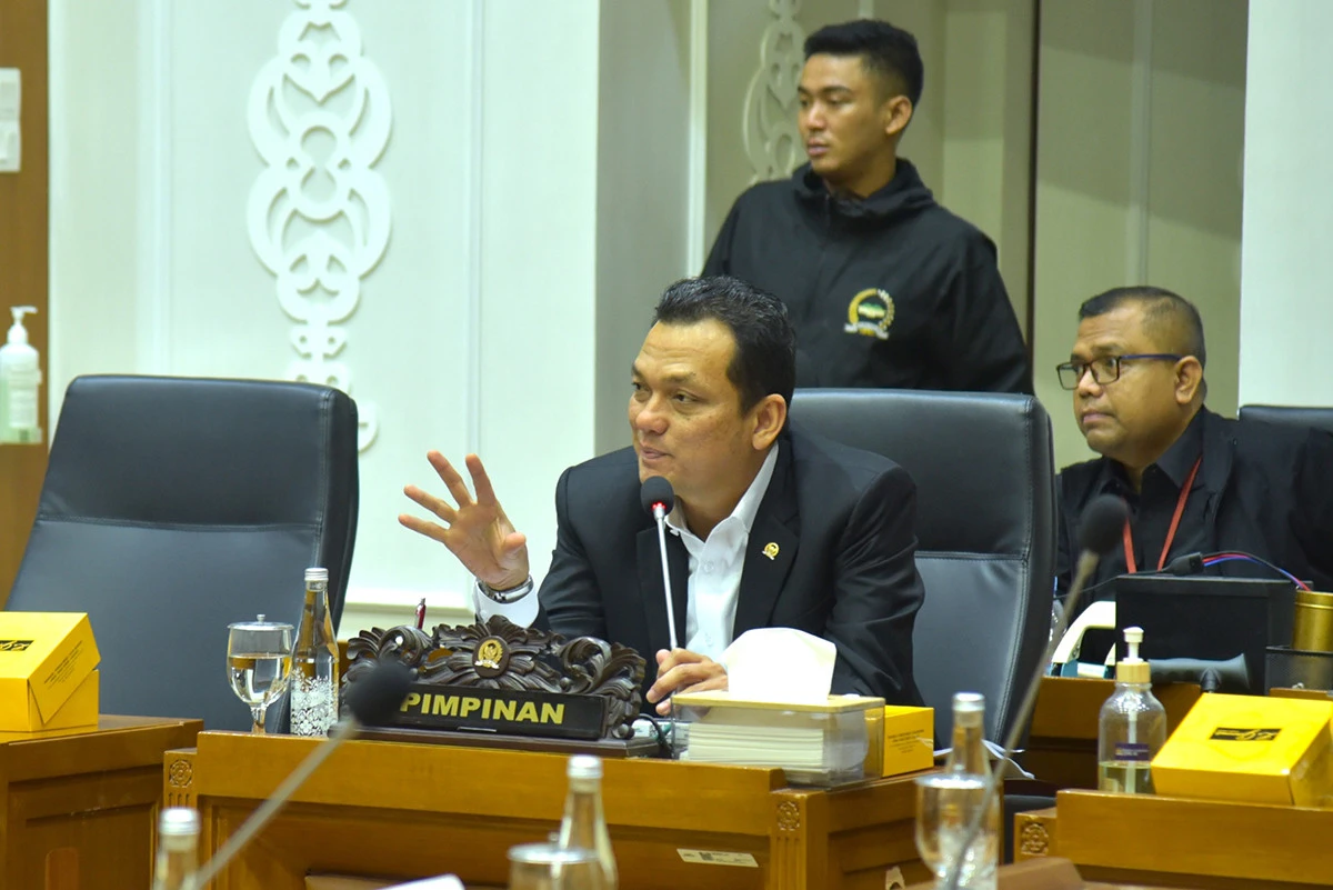Martin Manurung: RUU PPRT Pisahkan Aturan Perekrutan Langsung dan Lewat Penyalur