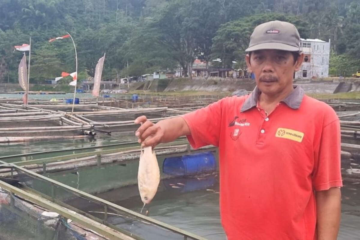 Ribuan Ikan Keramba di Telaga Ngebel Ponorogo Mati Mendadak