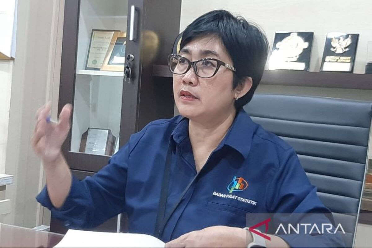 BPS Ungkap Penyebab Turunnya Angka Penumpang Angkutan Udara di Kepri