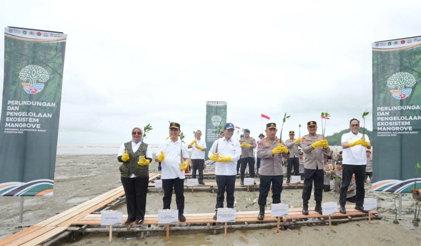 Jaga Kawasan Pesisir, ANTAM Dukung Perlindungan & Pengelolaan Ekosistem Mangrove di Kalbar