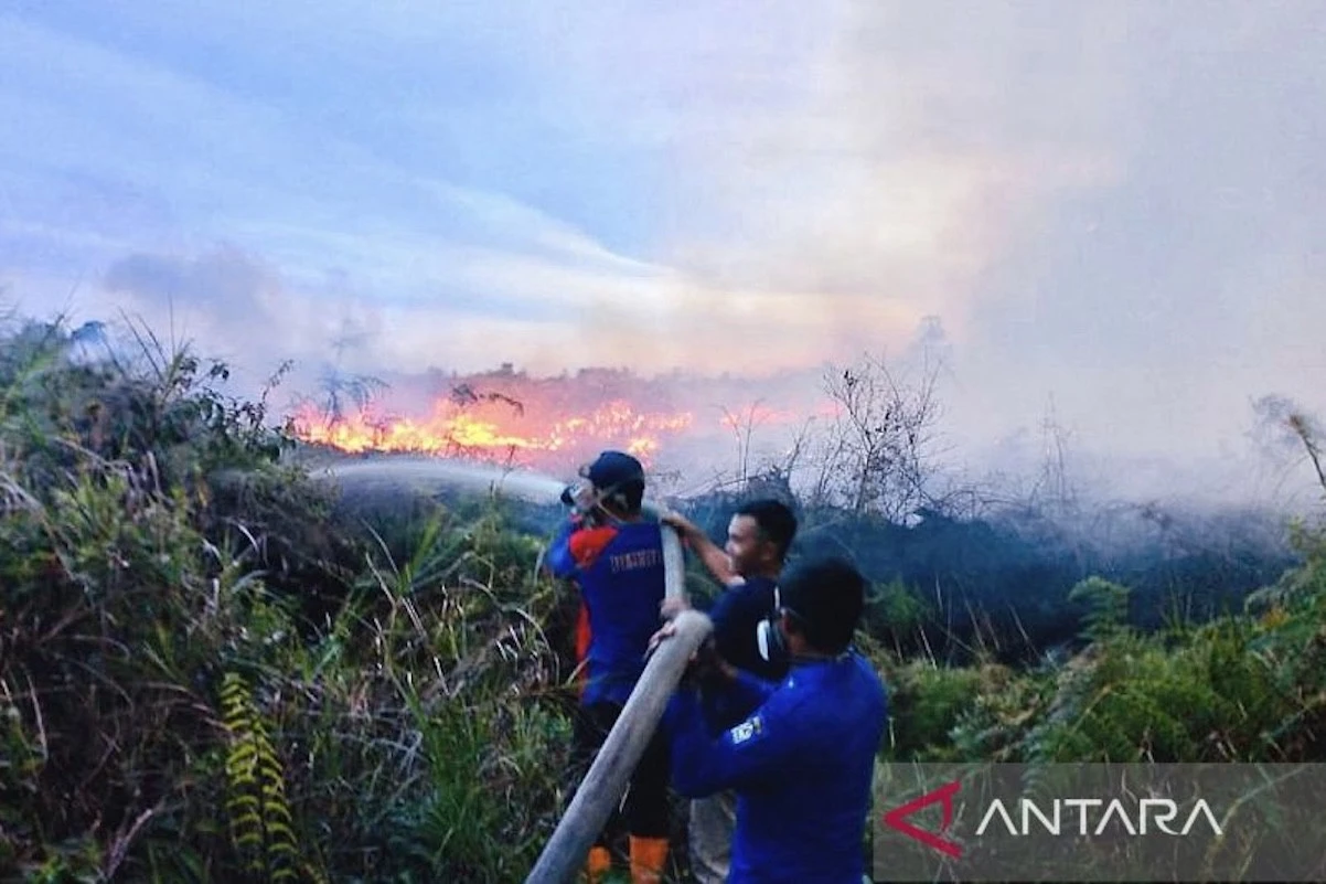BMKG Sebut Karhutla Masih Berpotensi Terjadi di Aceh hingga Agustus 2025