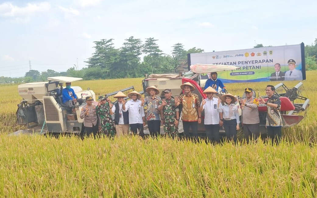 Tinjau Panen Raya di Klaten, Marga Taufiq Pastikan Bulog Serap Gabah Petani Sesuai HPP