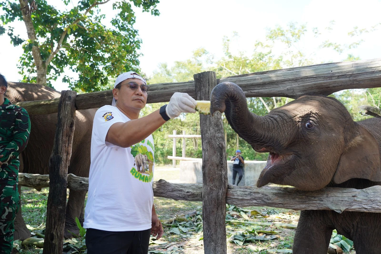 Irjen Herry Berduka atas Matinya Gajah Tari, Simbol Keseimbangan Alam Semakin Rapuh