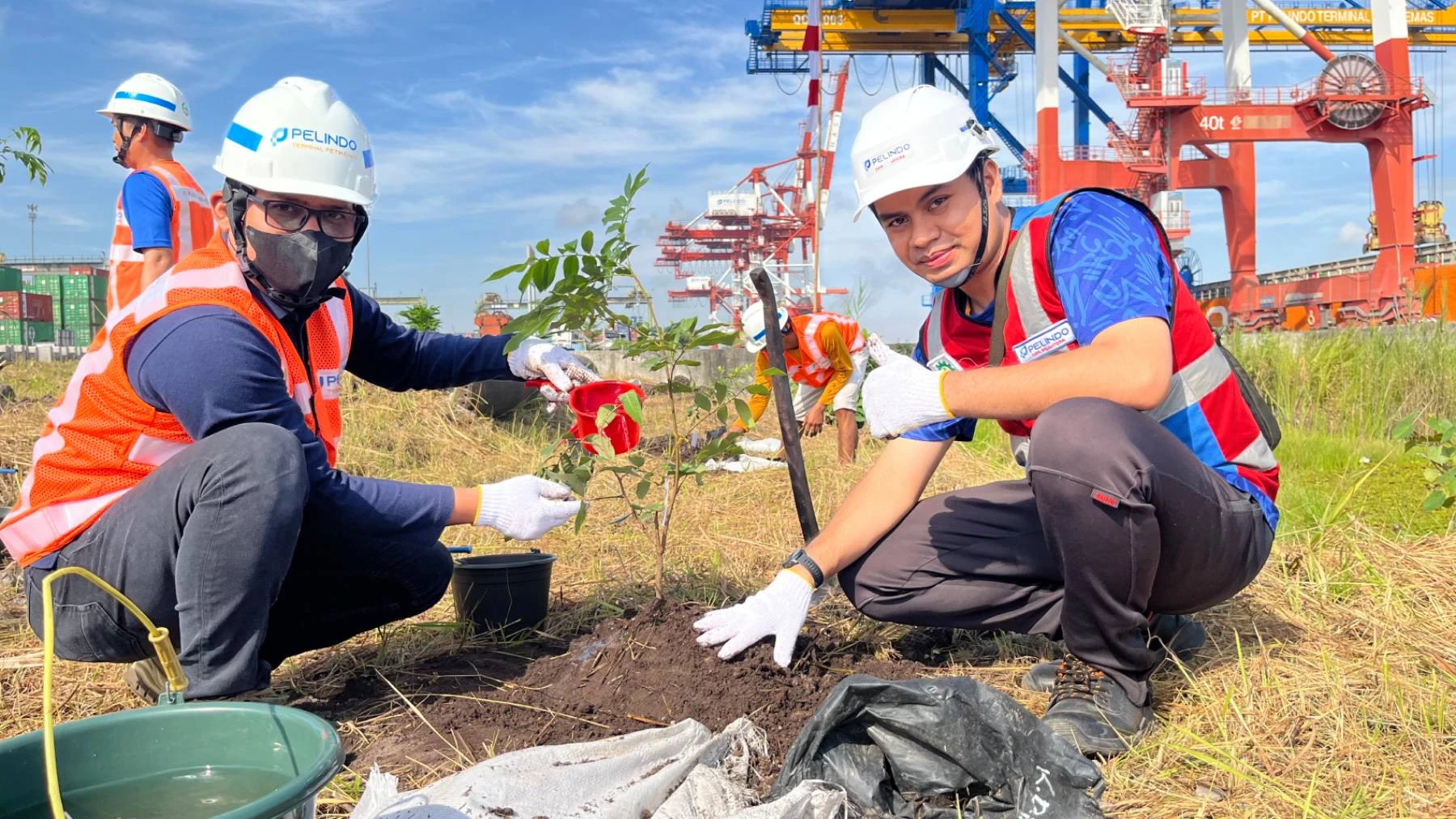 Peringati HUT ke-80 RI, Pelindo Petikemas Tanam Seribu Pohon untuk Hijaukan Area Kerja