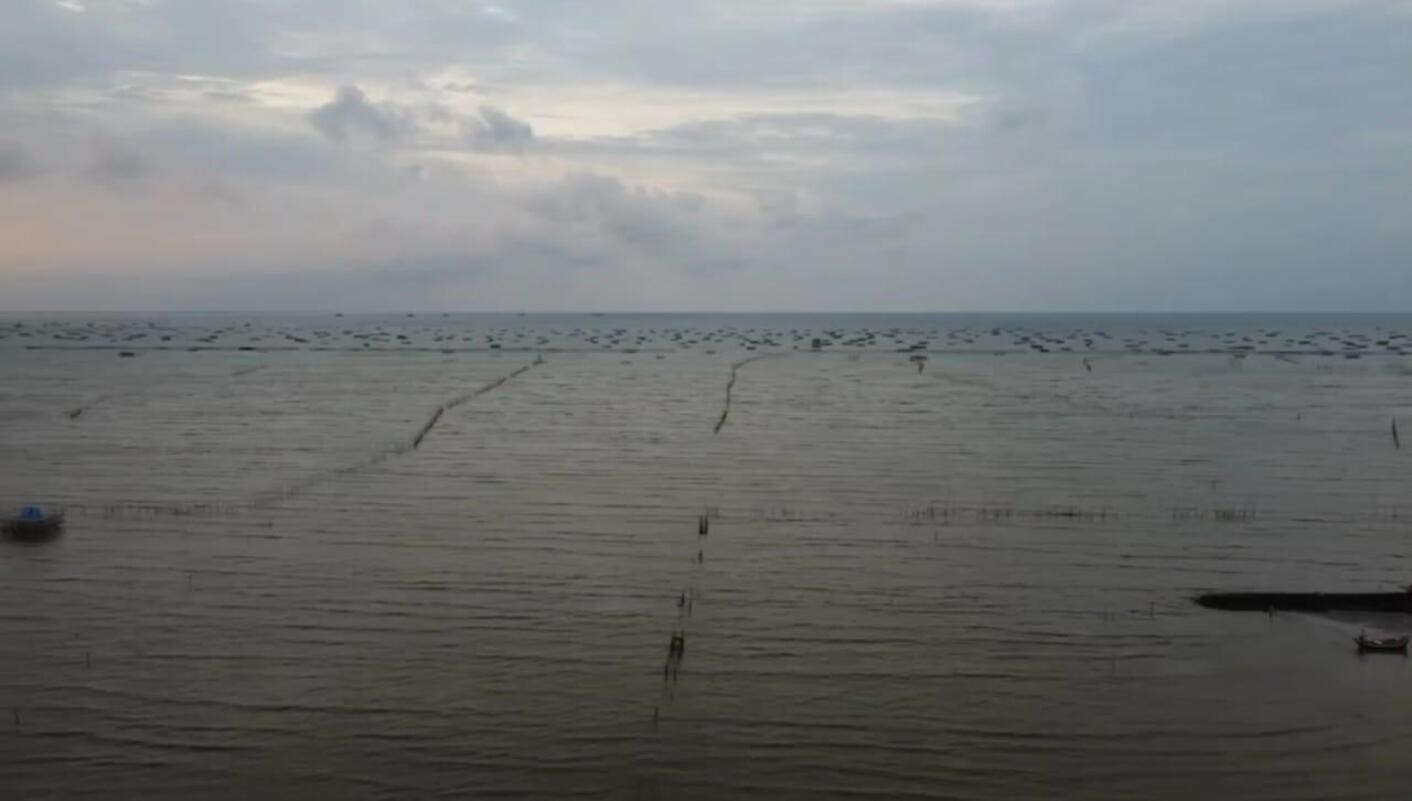 Akademisi Kritik Pola Komunikasi Pemerintah Soal Pagar Laut, Muncul Kesan Tidak Tegas