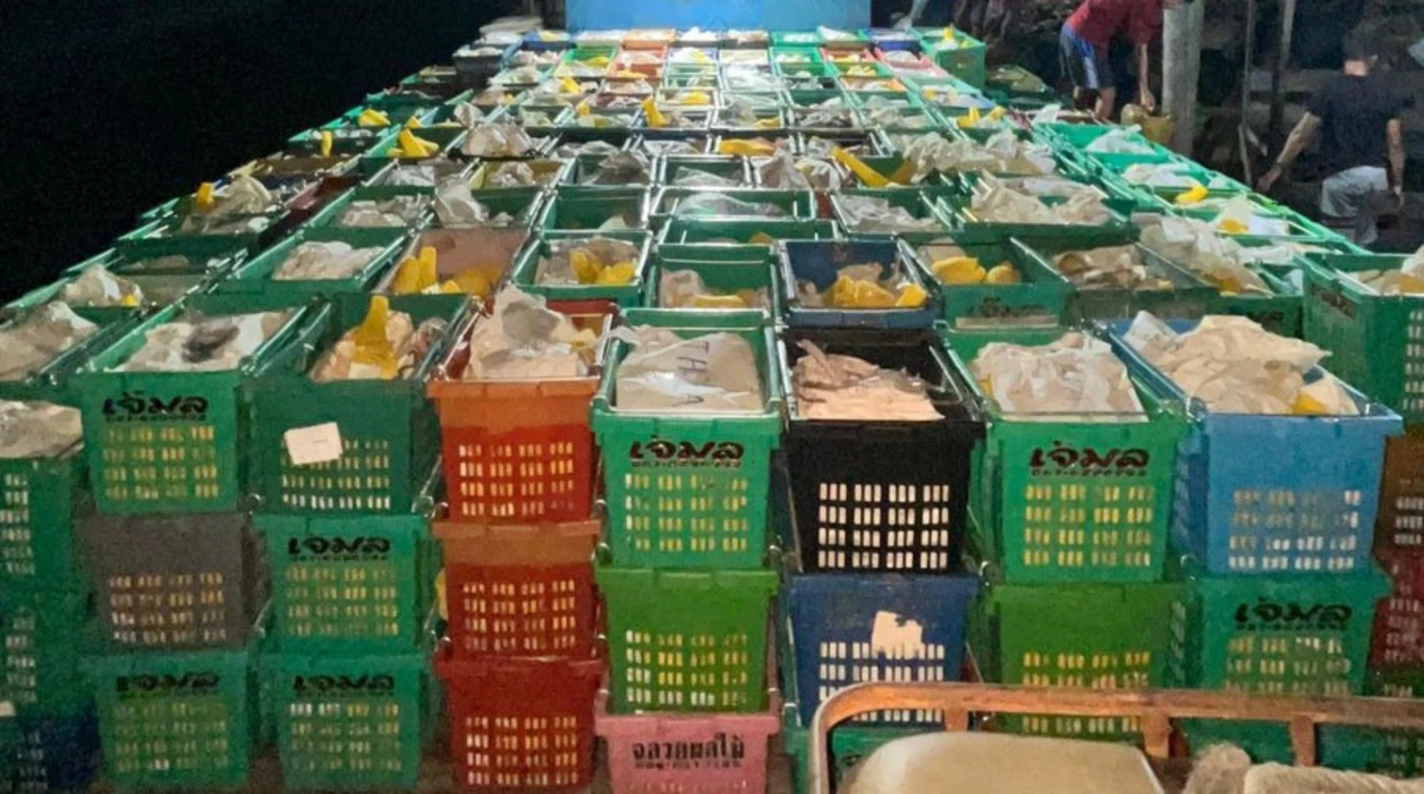 15 Ton Buah Mangga Ilegal Digagalkan Bea Cukai Tembilahan Masuk Inhil, Ini Kronologinya