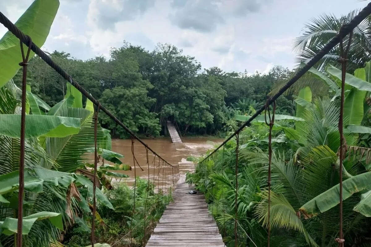 Diterjang Banjir, Jembatan Gantung di OKU Timur Putus