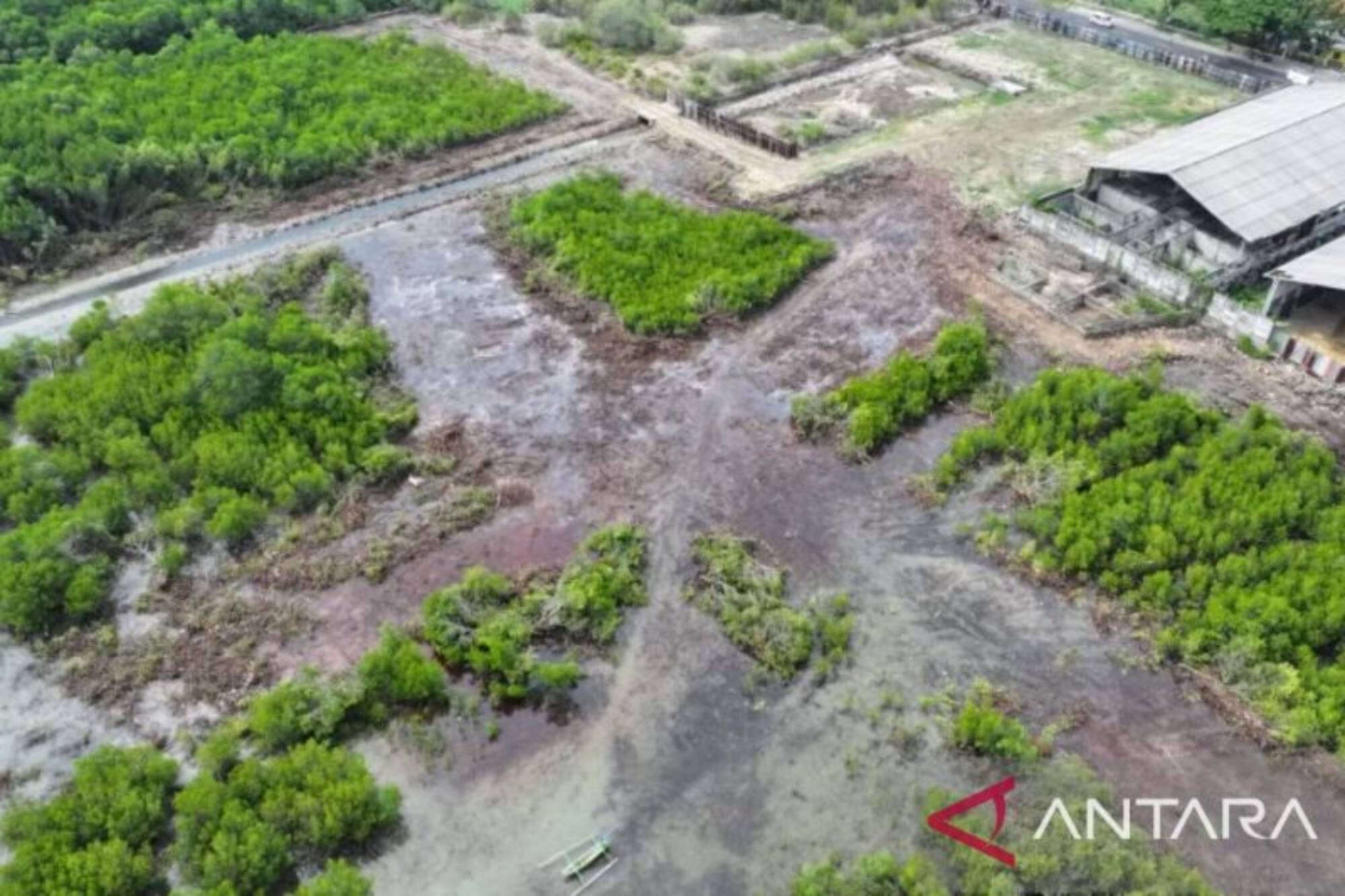 Lahan Pesisir Pantai di Pamekasan Dimiliki Budiono, Dibangun Hotel, Dealer Mobil