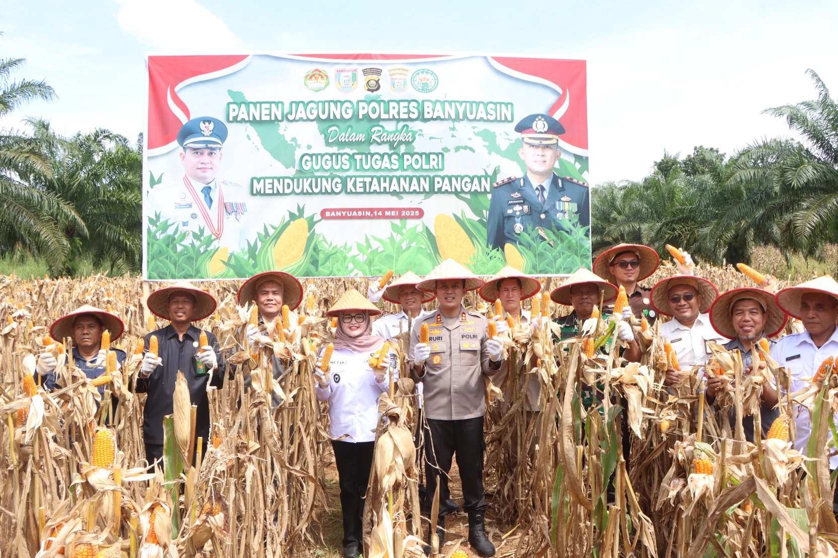 Dukung Program Swasembada Pangan Nasional, Polres Banyuasin Panen Perdana Jagung 15 Ton