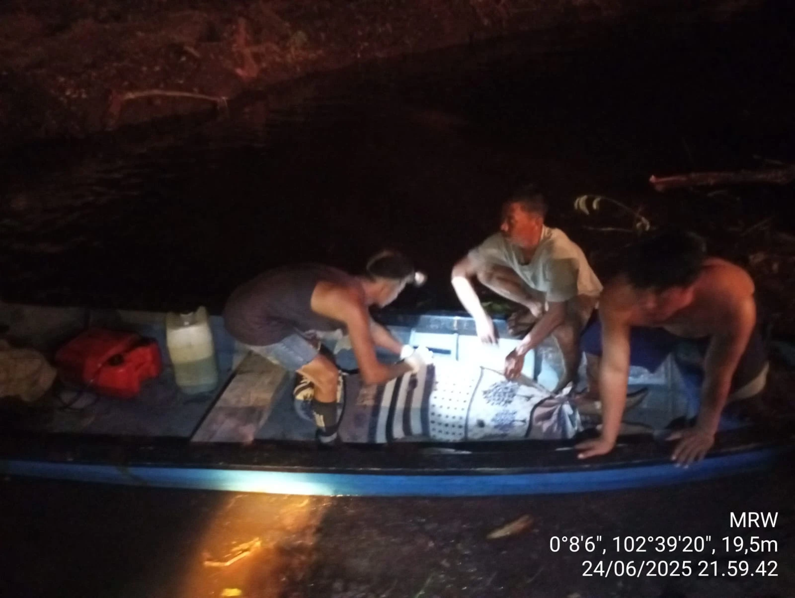 BAB di Semak-semak, Seorang Buruh Tewas Diterkam Harimau