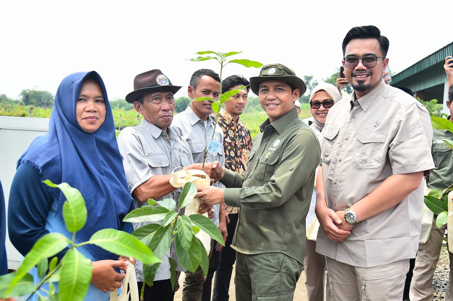 Mewujudkan Arahan Prabowo, Menhut Target Bagikan 17 Juta Bibit Pohon
