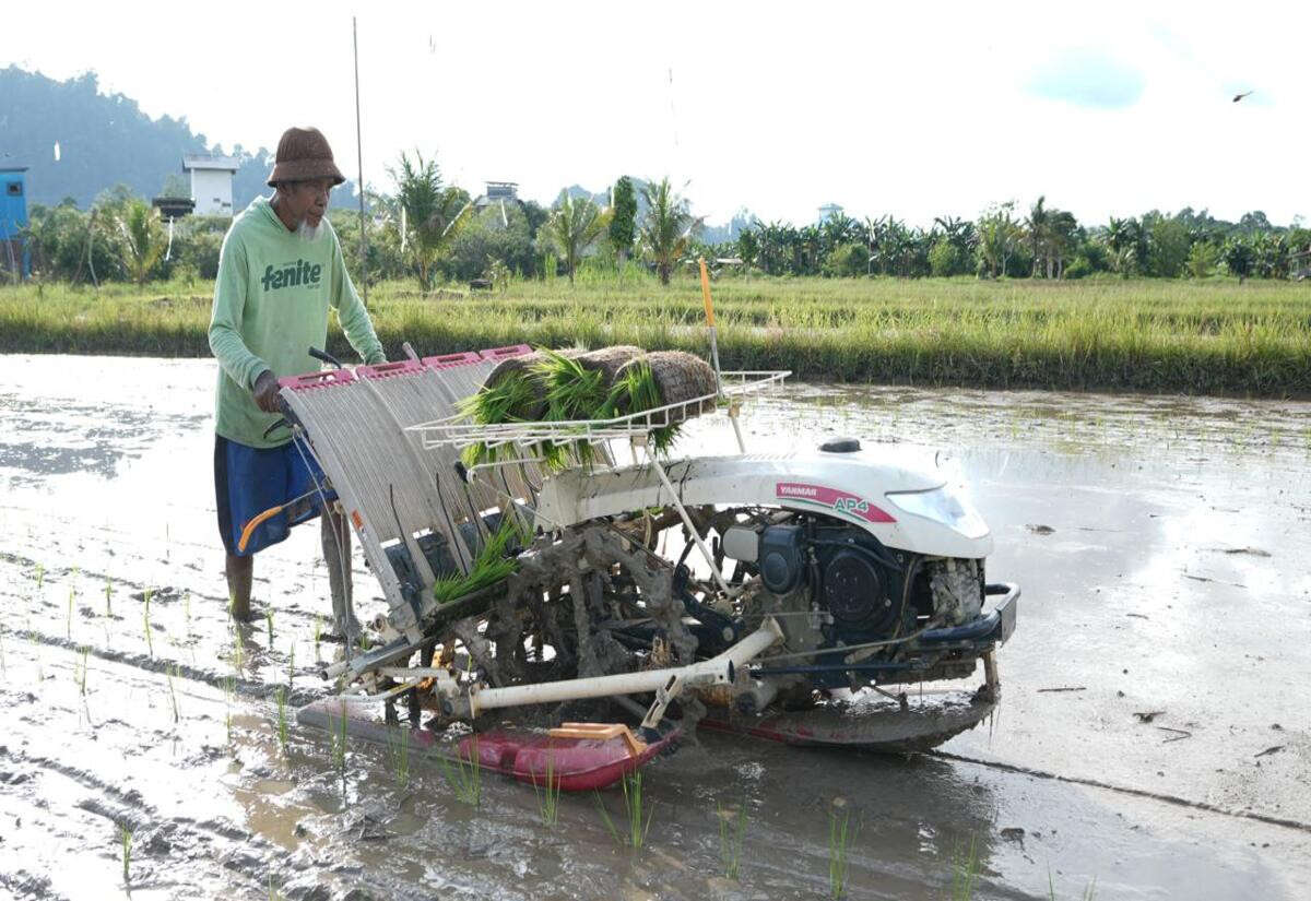 Kemendes Dorong Ketahanan Pangan dan Wisata Desa di Pandeglang