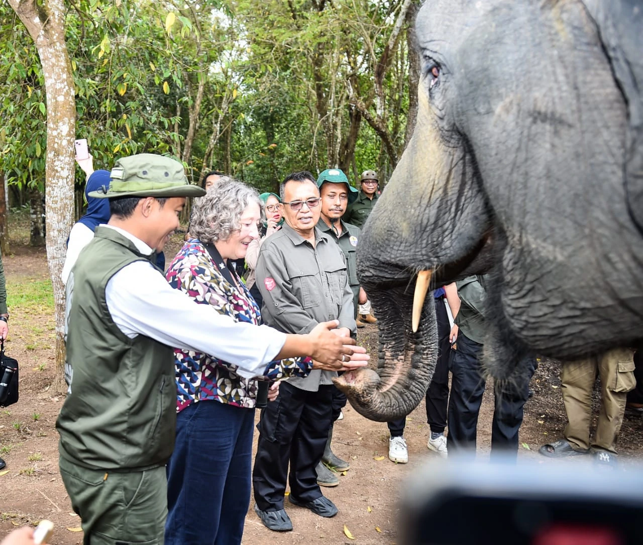 Menhut: Tantangan Kita Bersama Menjaga Hutan Tropis yang Angkanya Makin Menurun