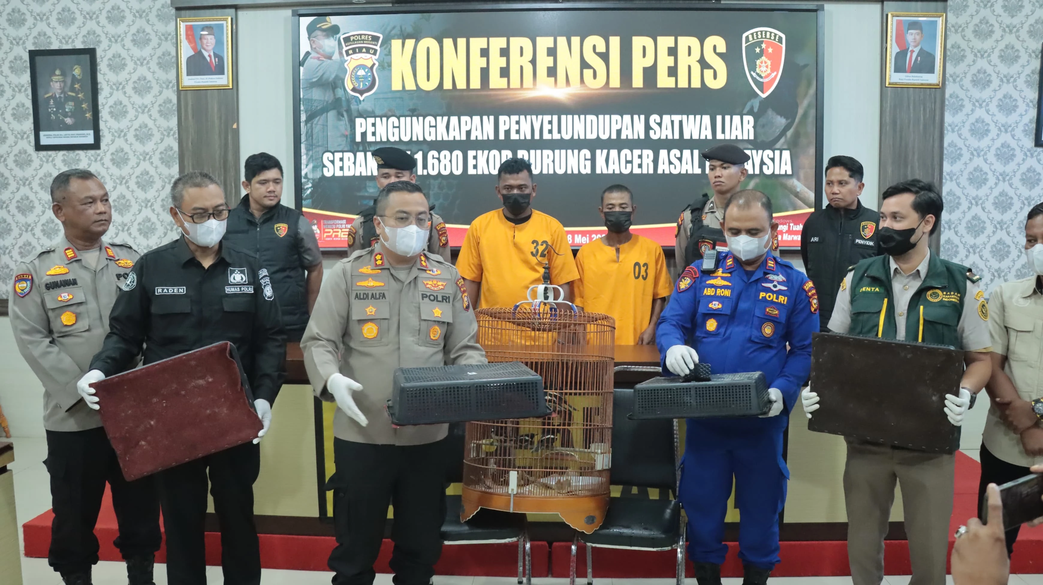 Polres Meranti Menggagalkan Penyelundupan 1.680 Ekor Burung Kacer dari Malaysia
