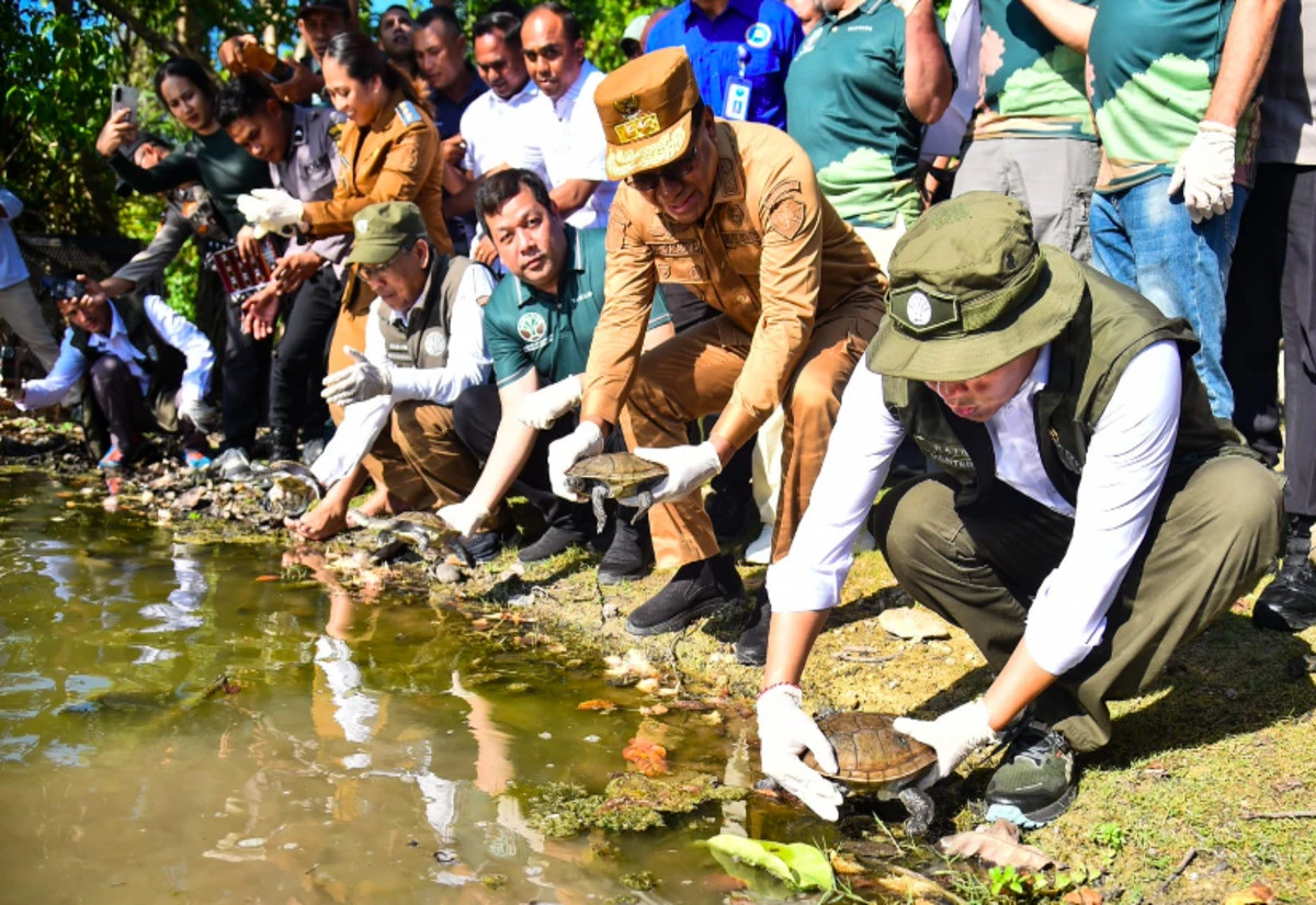 Menhut Raja Antoni Lepasliarkan 20 Kura-Kura Rote, Satwa Endemik Terlangka di Dunia