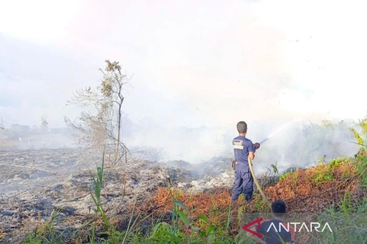Kebakaran Lahan di Aceh Barat Meluas, BPBD: Upaya Pemadaman Masih Terus Dilakukan