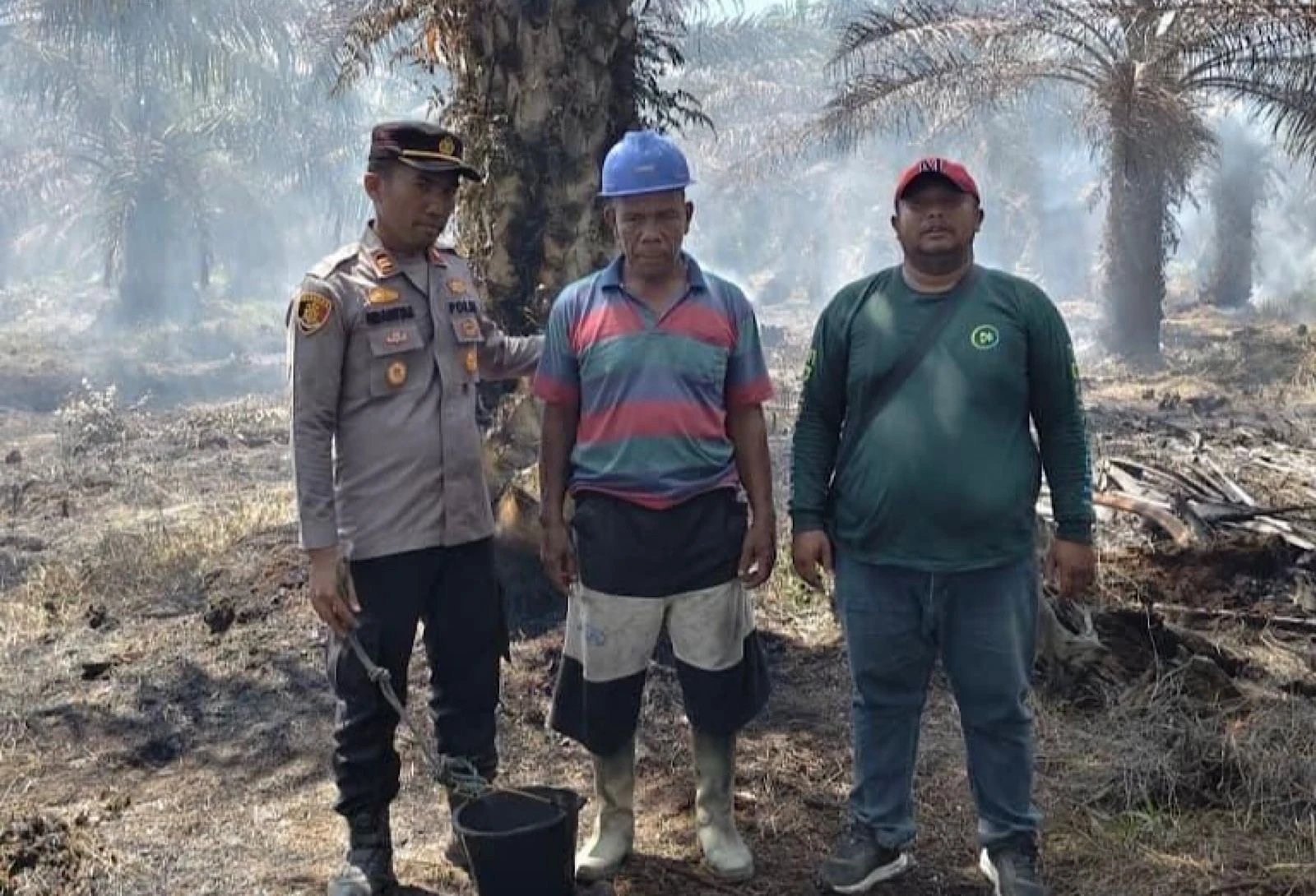 Polres Rohil Tangkap Pembakar Lahan di Kawasan Hutan Produksi Balai Jaya  