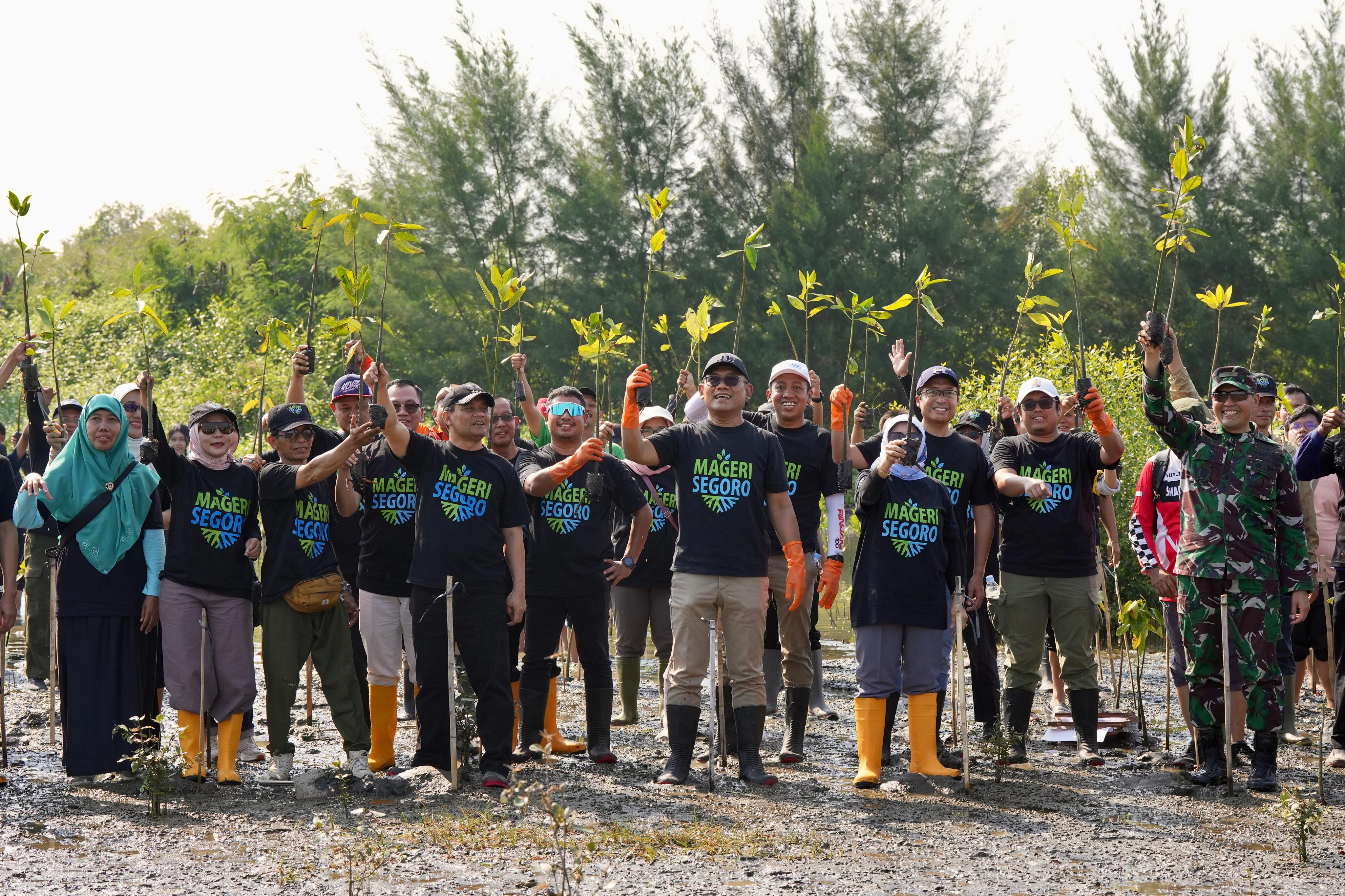 Dukung Program Mageri Segoro, Pelindo Terminal Petikemas Tanam 50 Bibit Mangrove