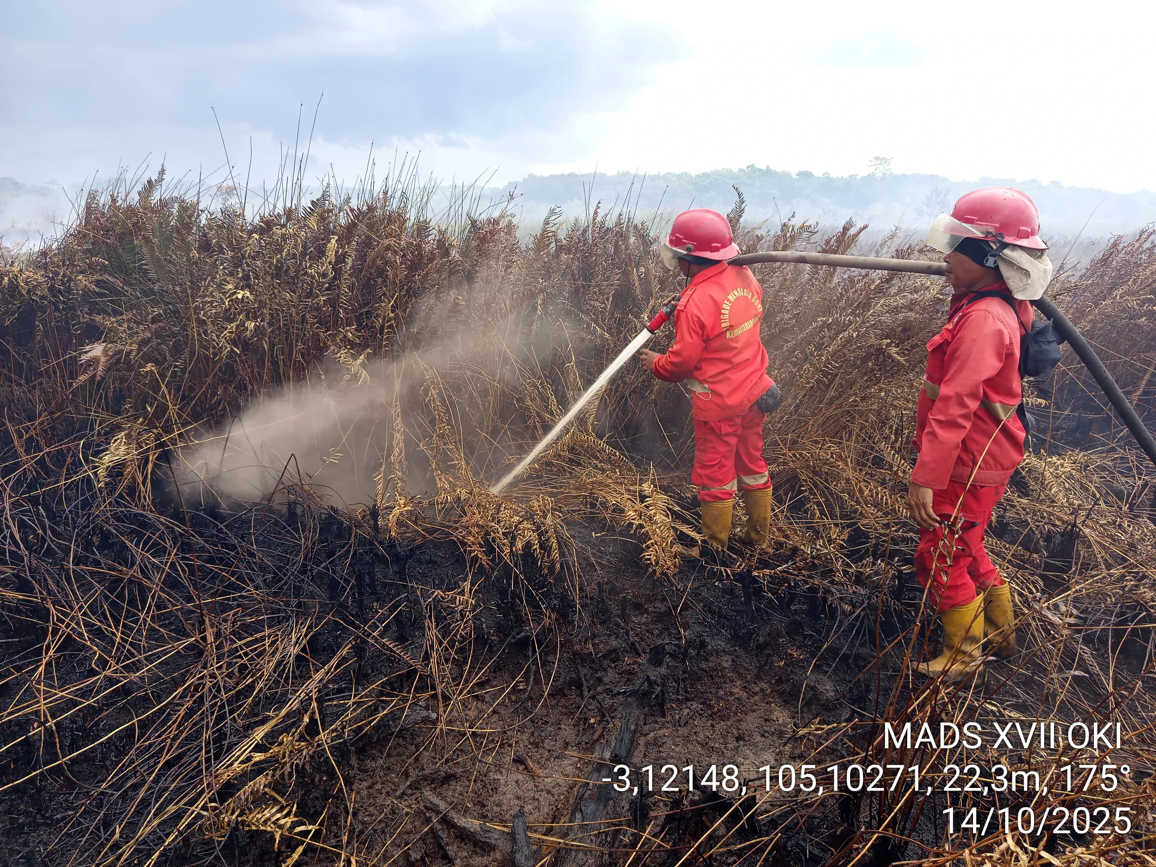 Karhutla Makin Parah, Sumsel Masuk Zona Merah