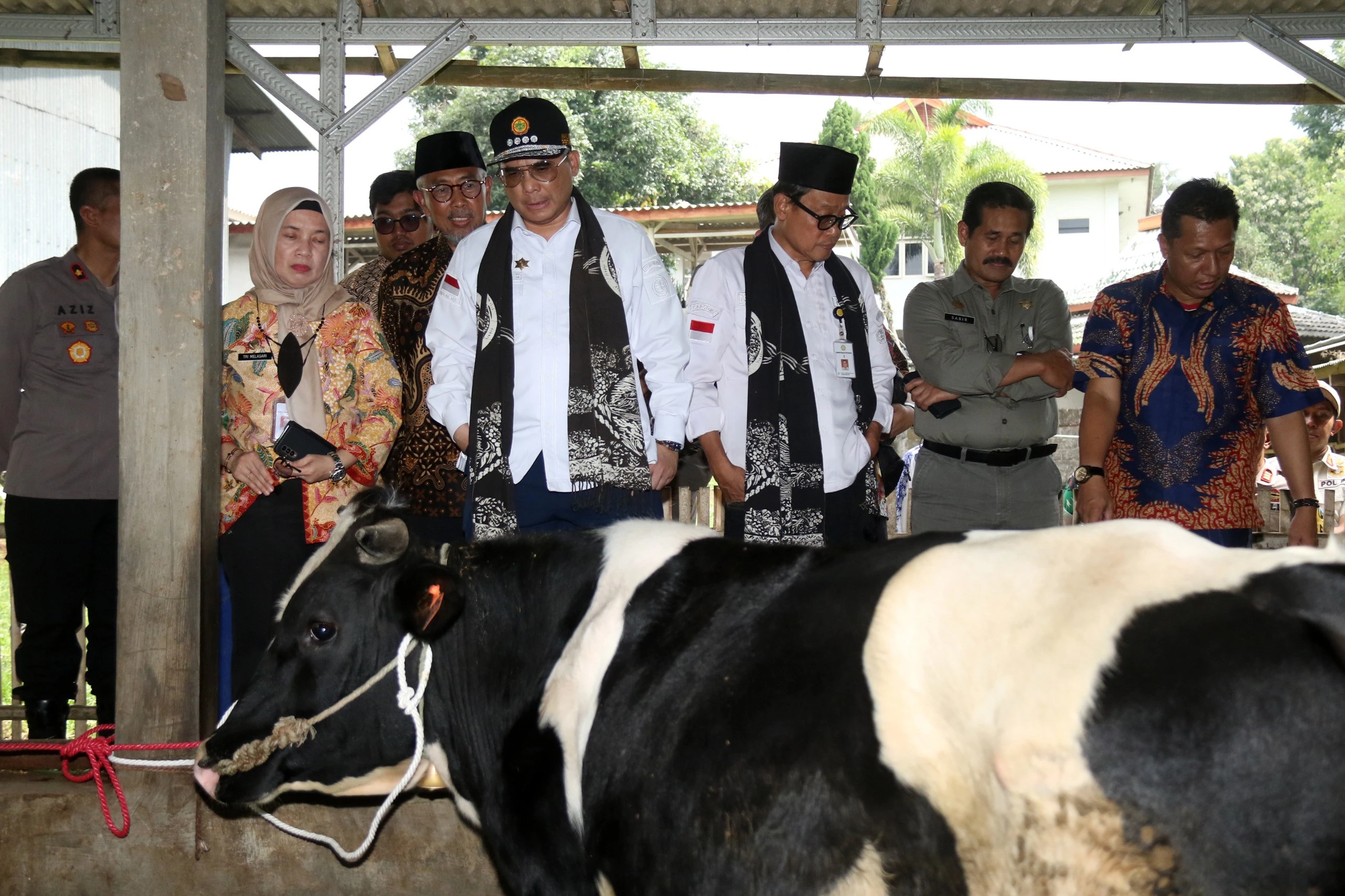 Wamentan Harvick Minta Peternak Tingkatkan Populasi Sapi Perah Lewat Cara Ini