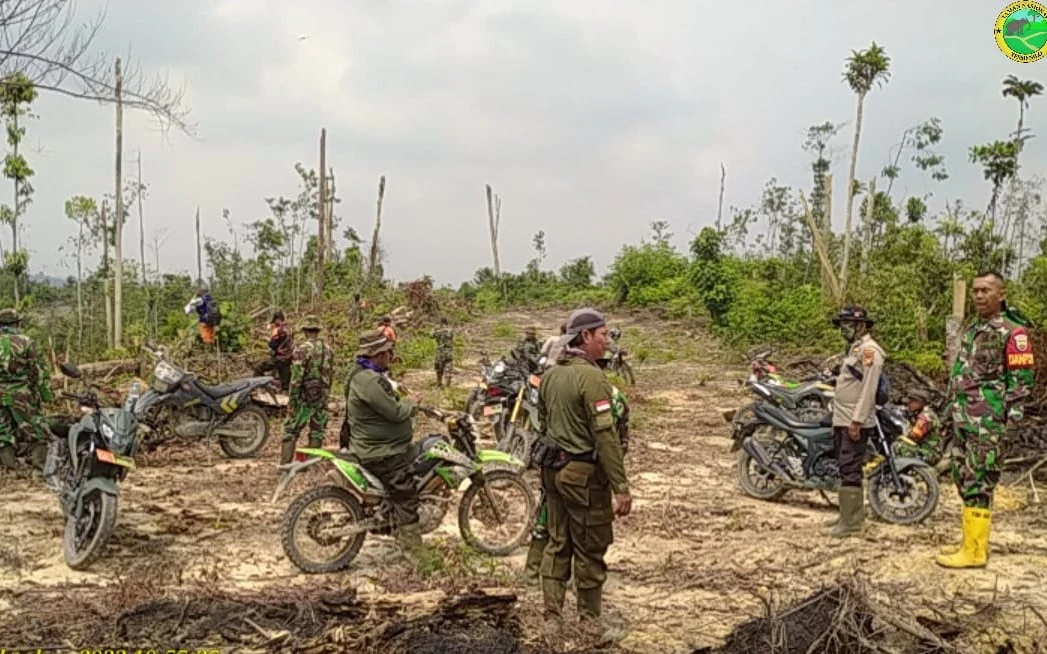 Perambah Hutan di TNTN Sabotase Jalur Petugas Patroli, Pasang Ranjau Paku