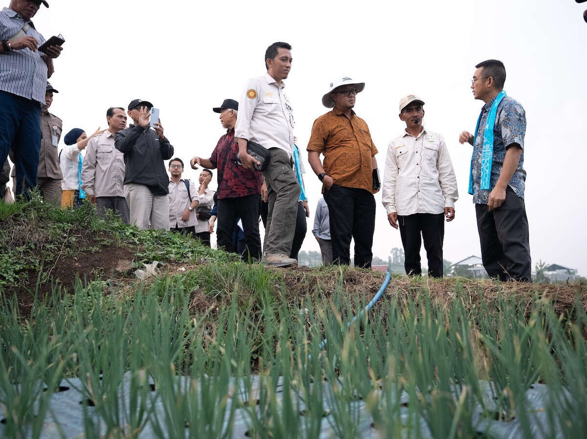 Program Upland Kementan Diharapkan Bisa Perkuat Ketahanan Pangan