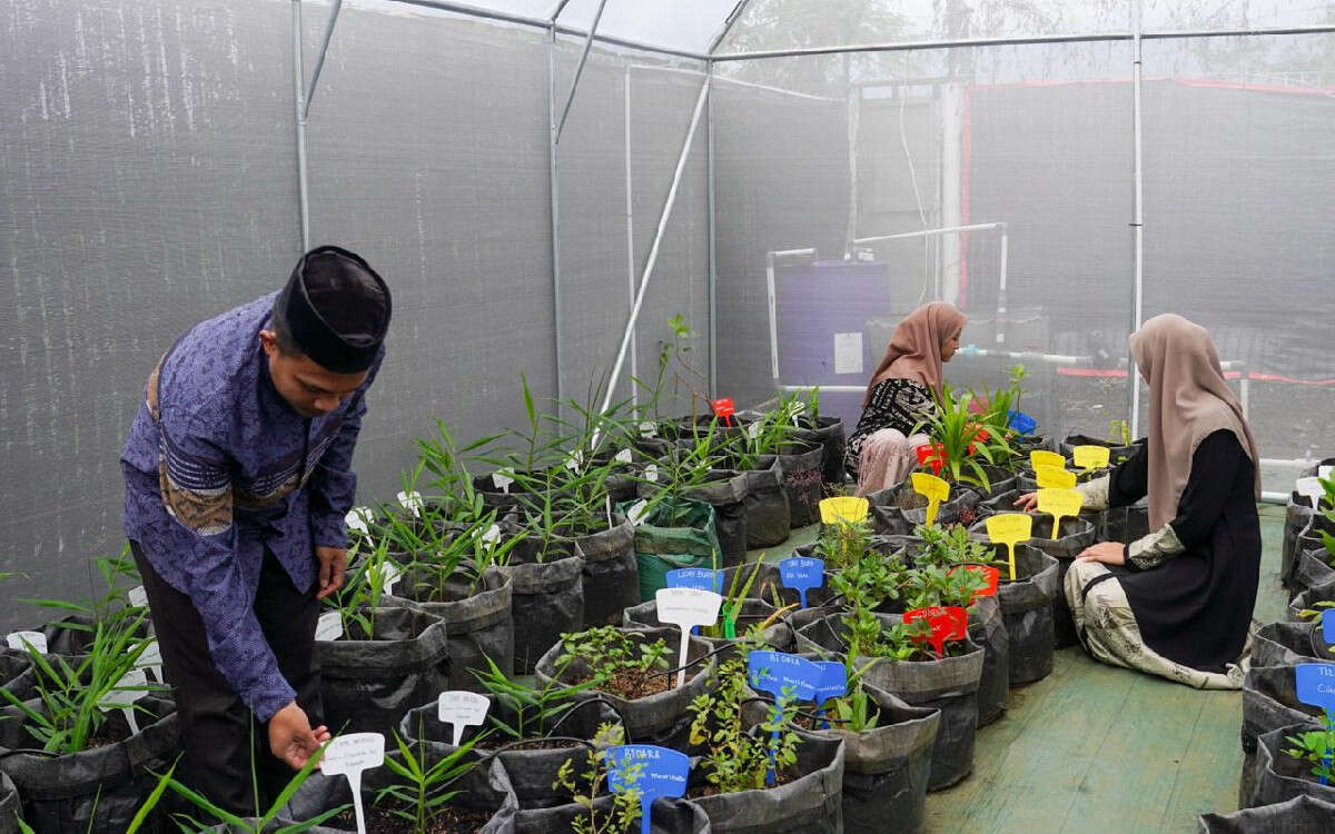 Resmikan Greenhouse, KEHATI Dorong Pelestarian Tanaman Herbal di Ponpes