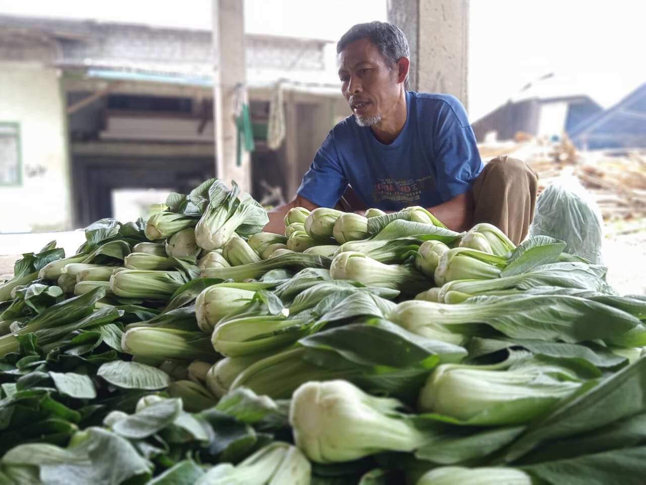 Petani Kecil Mulai Rasakan Efek Gerakan Boikot Restoran Waralaba yang Dianggap Terafiliasi Israel