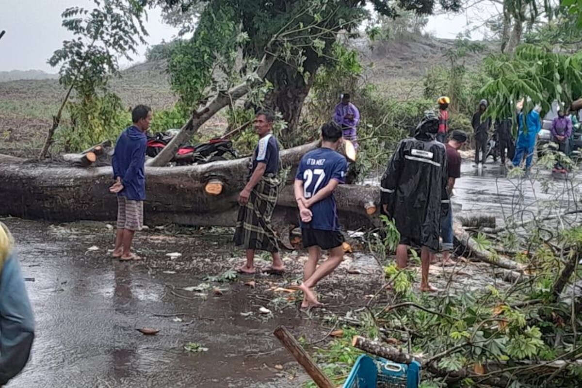 Tertimpa Pohon Tumbang di Gowa, Pengendara Motor Meninggal Dunia