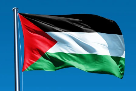 Gerakan Semut Semangka Siap Turun dalam Aksi Solidaritas Palestina di Monas