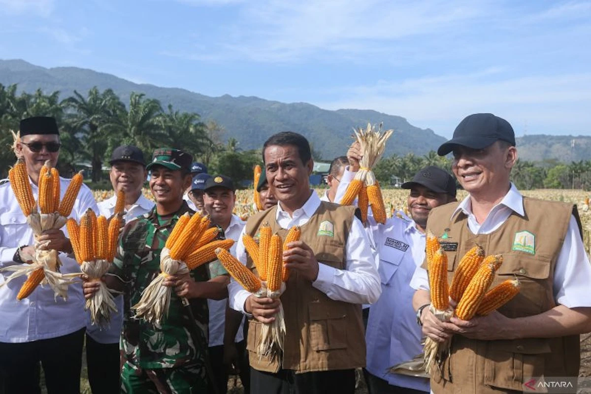 Mentan Amran Optimistis Indonesia Bakal Kembali Bisa Melakukan Ekspor Jagung