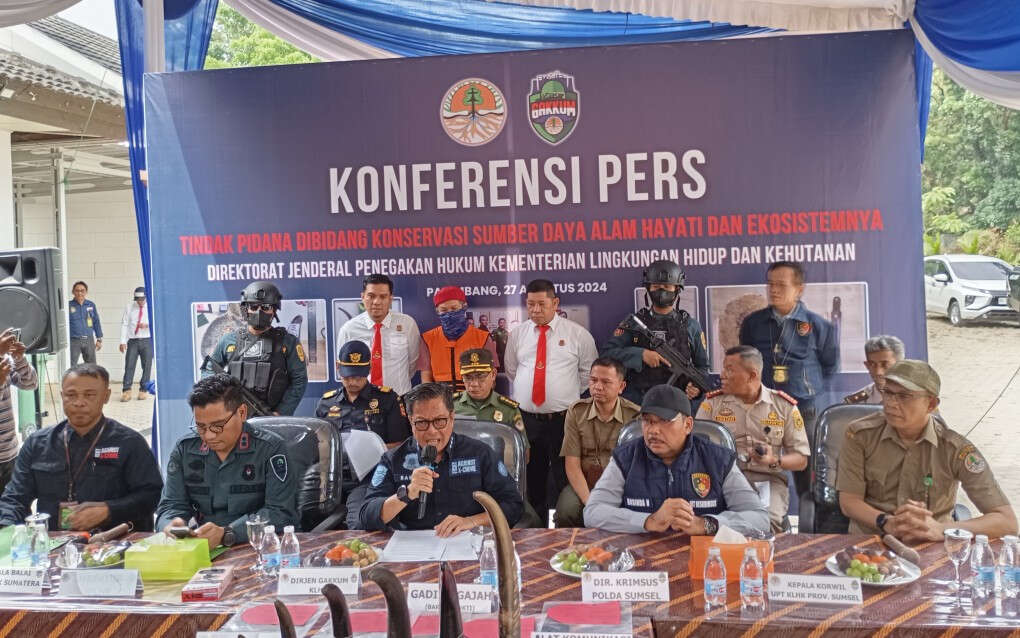 Pelaku Perdagangan Ilegal Cula Badak & Pipa Gading Gajah Ditangkap Tim Gakkum KLHK-Polda Sumsel