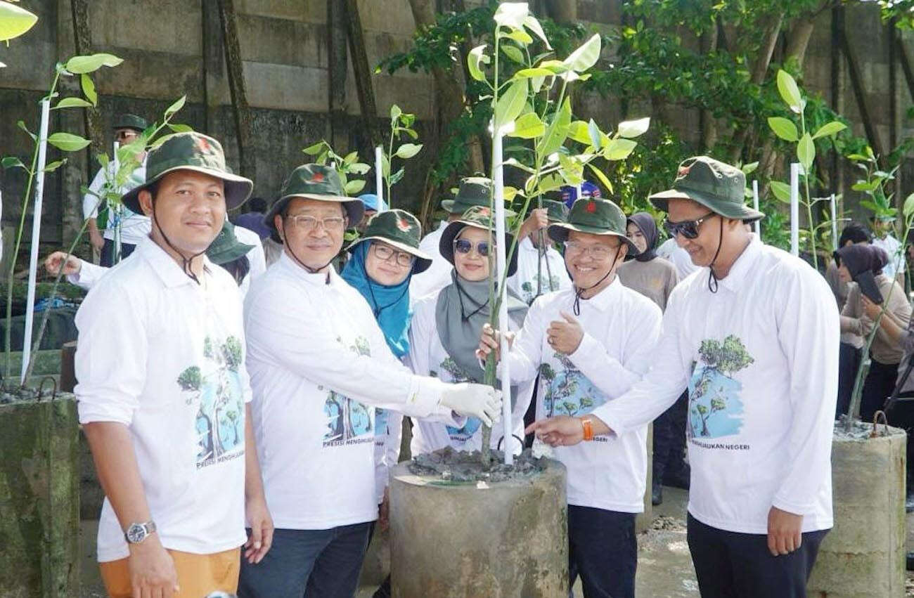 Metode Buispot Dinilai Efektif untuk Penanaman Mangrove di Balikpapan