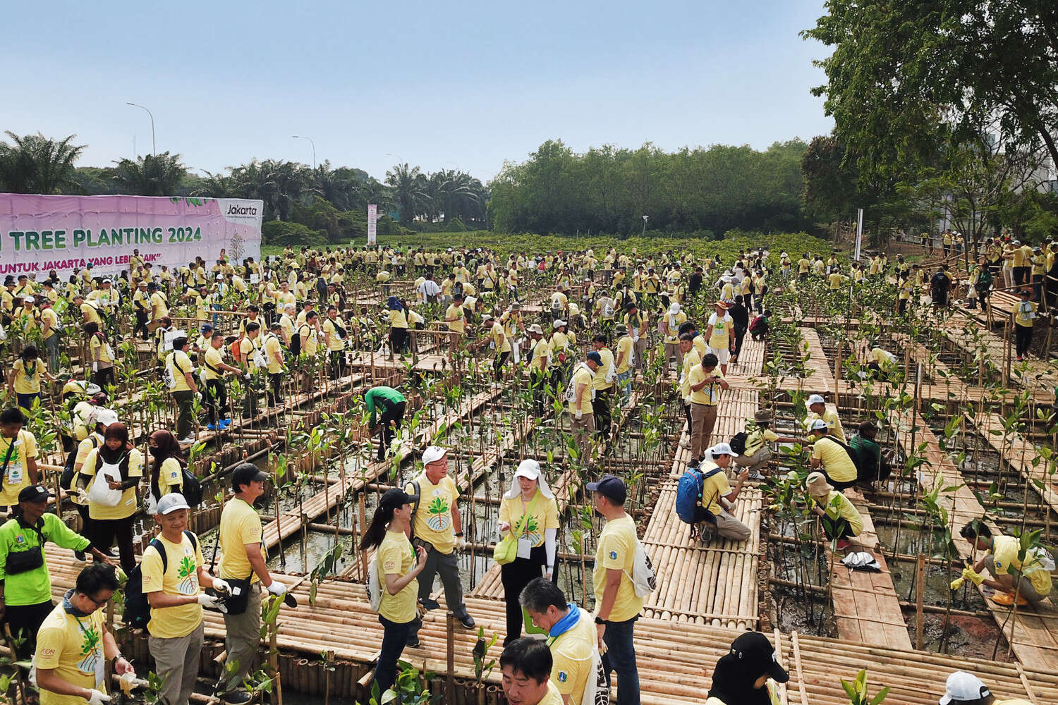 Penanaman 5.000 Pohon Bakau untuk Mengembalikan Kawasan Pesisir yang Asri