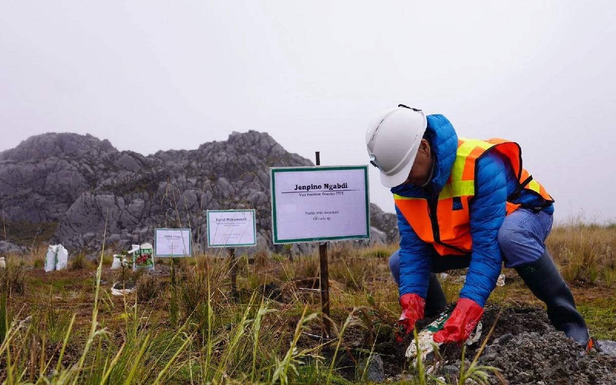 Kunker ke PTFI, Tim KLHK & Bappenas Tanam Rumput Endemik di Ketinggian 4.300 Mdpl