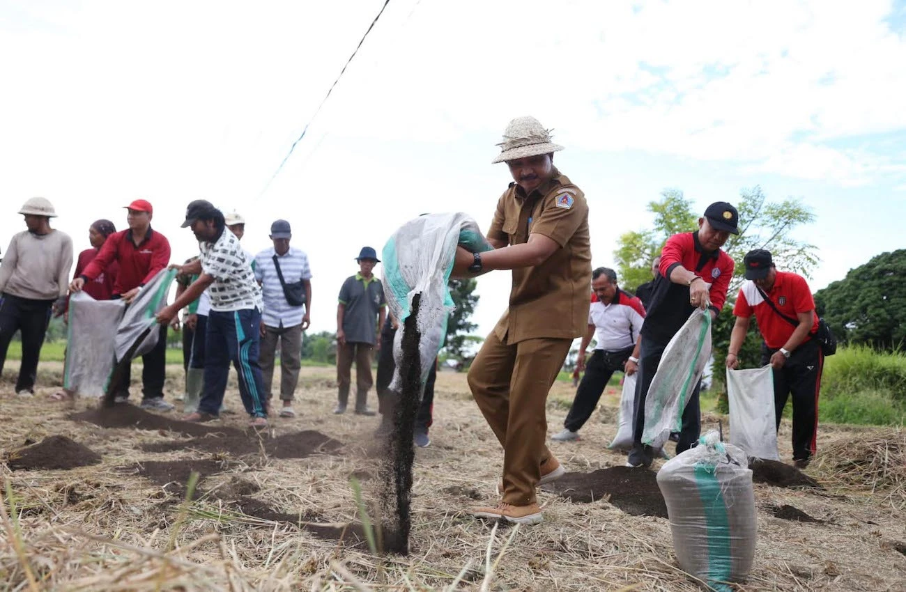 Ikhtiar Pemkab Klungkung Wujudkan Pertanian Organik