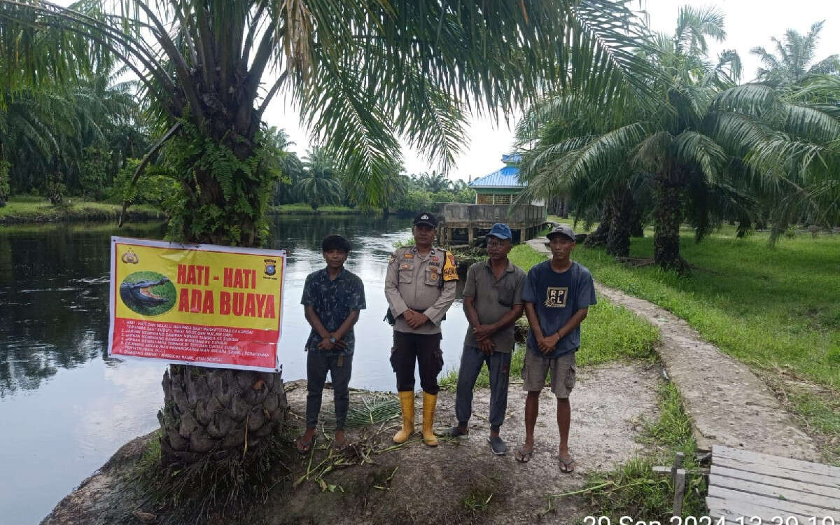 Sedang Buang Air Besar, Remaja di Rohil Diserang Buaya