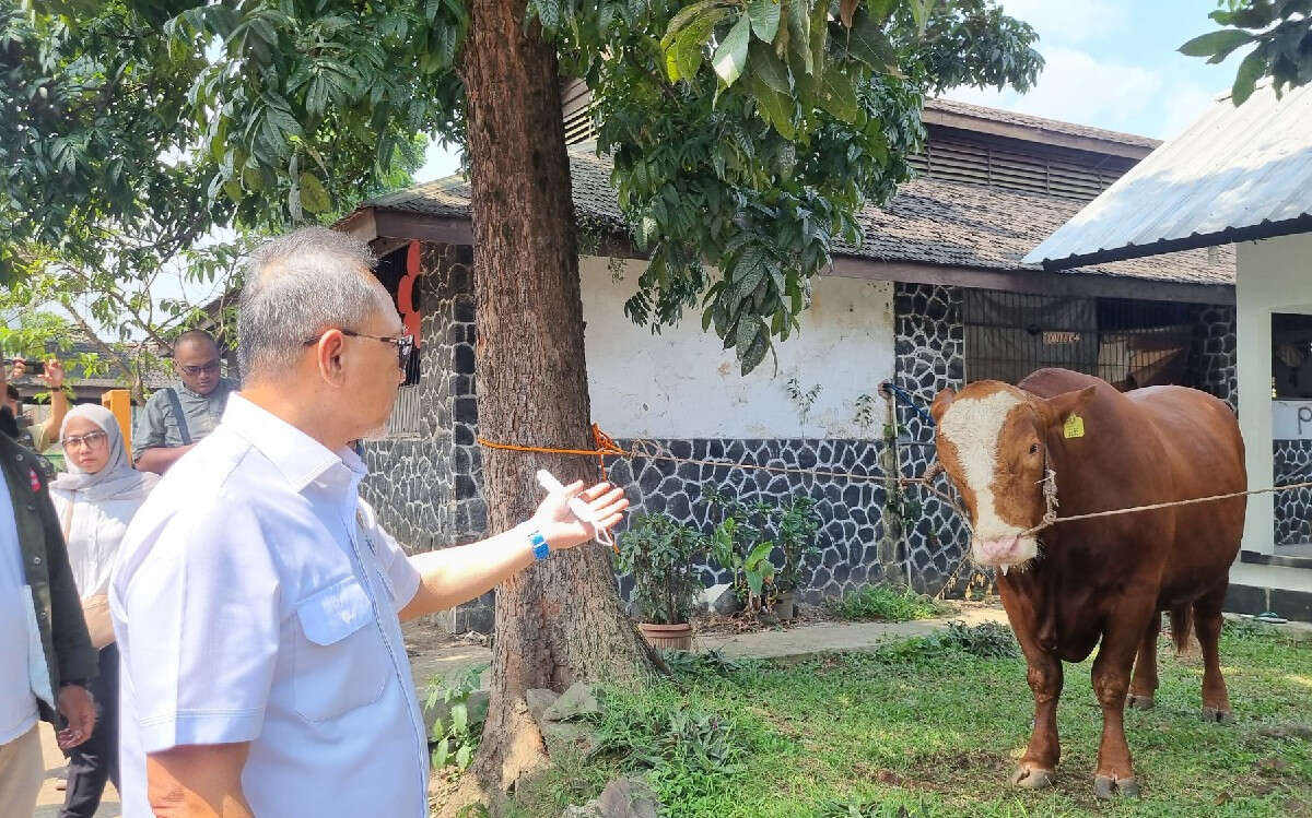 MUI Jabar: Masyarakat Boleh Memotong Hewan Kurban Mandiri, Asalkan...