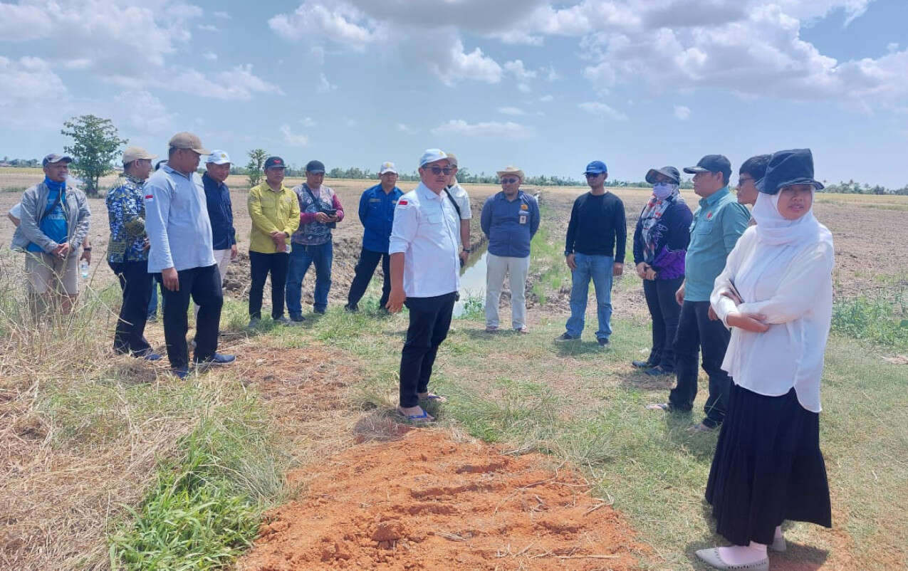 Kementan Memonitori Program PAT di Tanah Laut Demi Dongkrak Produktivitas